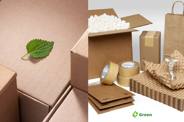 Brands With Sustainable Packaging And Practices