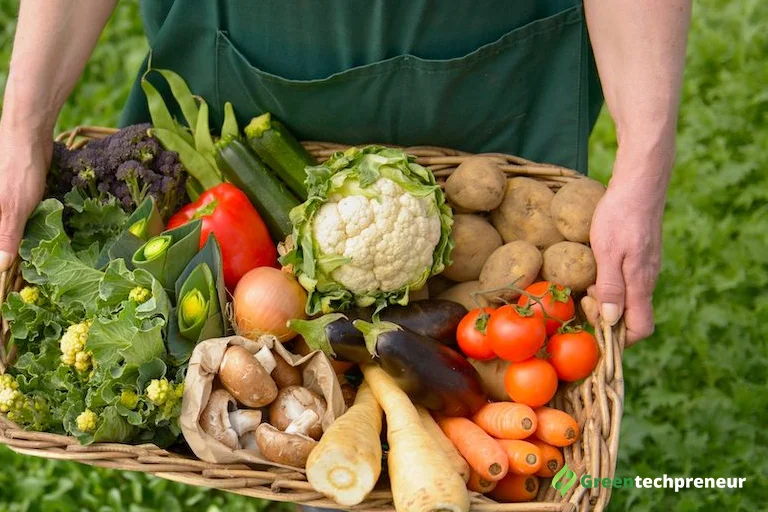 Organic Farming And Fresh Produce Delivery